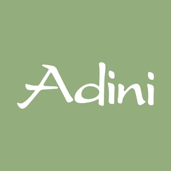 Adini Online logo