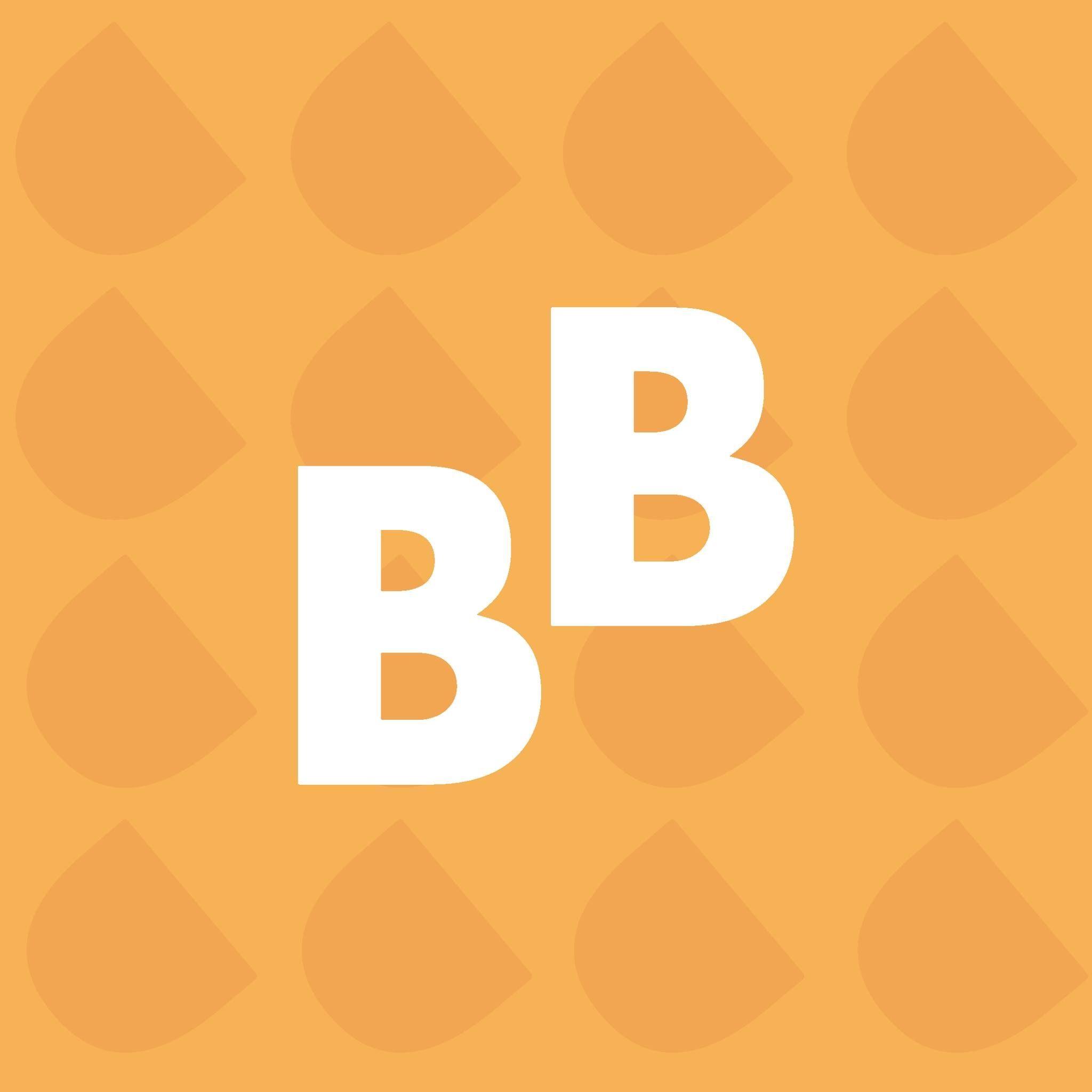Bargain Bundle logo