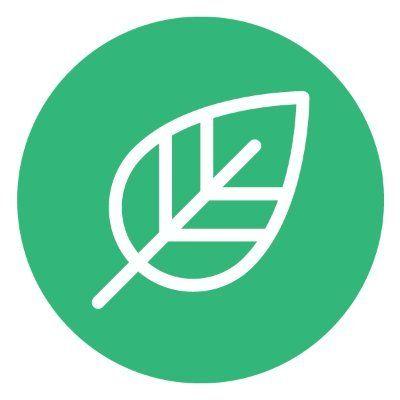 Beanstalk logo