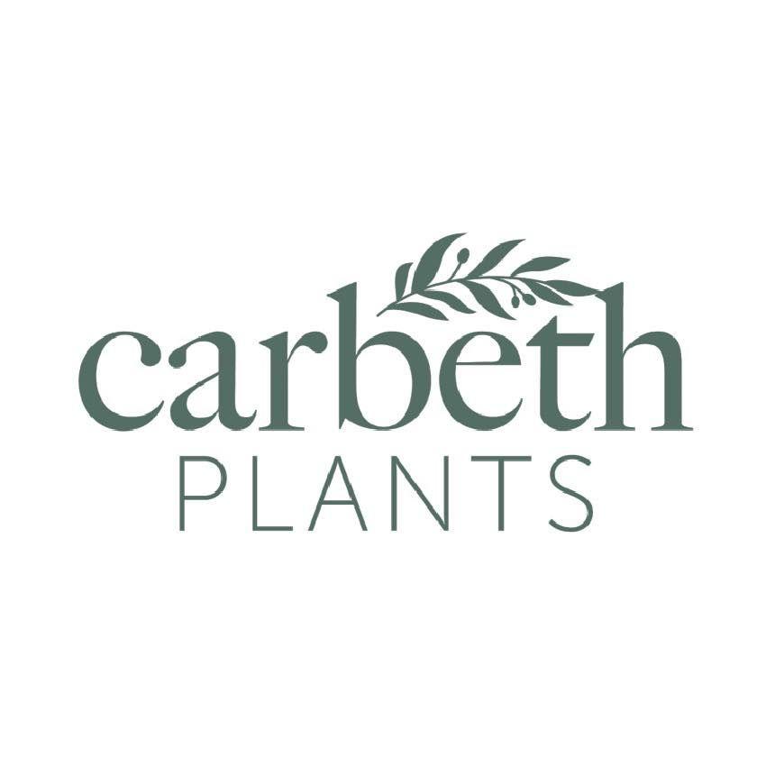 Carbeth Plants logo