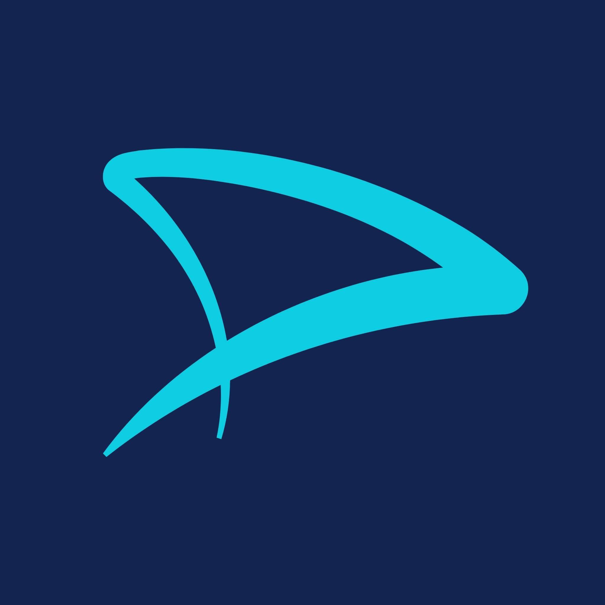 Dolphin Fitness logo
