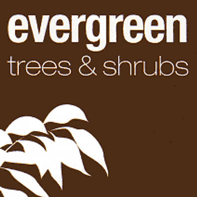 Store discounts logo
