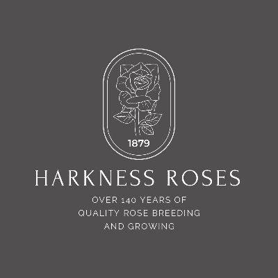 Store discounts logo