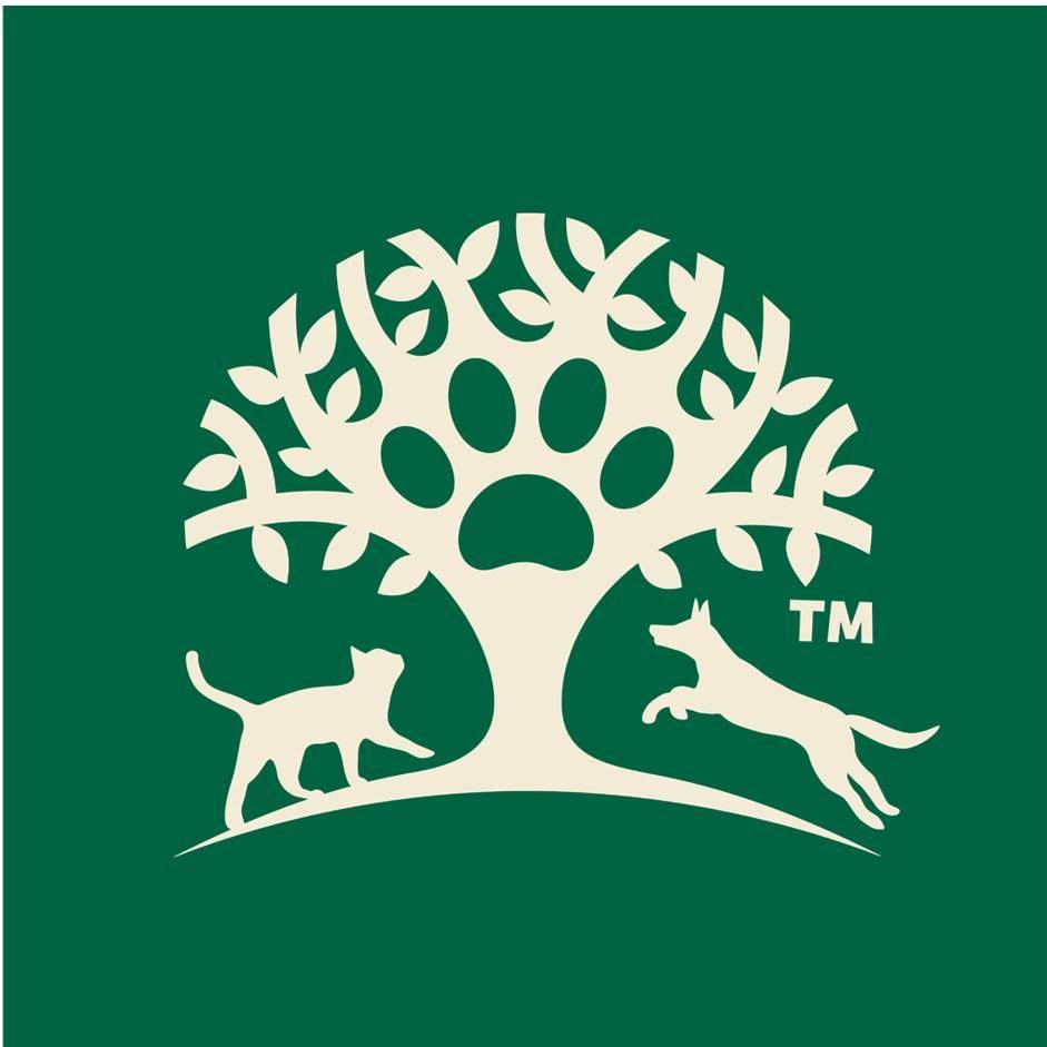 Store discounts logo