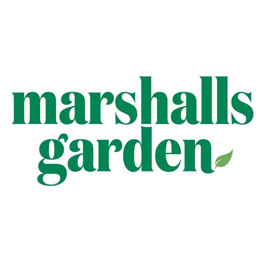 Store discounts logo