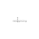 Netlighting logo