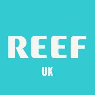 Reef Sandals logo