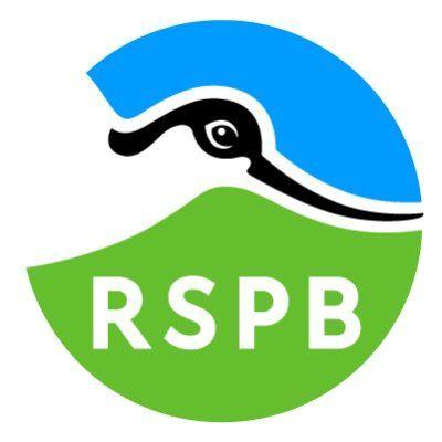 Store discounts logo