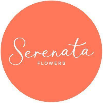 Store discounts logo