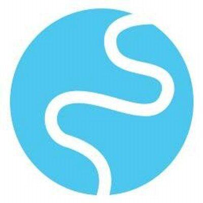 Skinstation logo