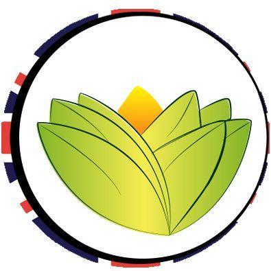 The Ayurveda Experience logo