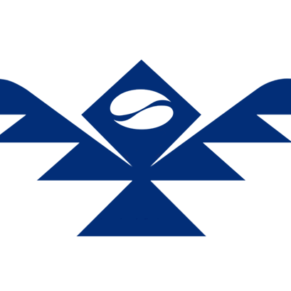 Velik Coffee logo