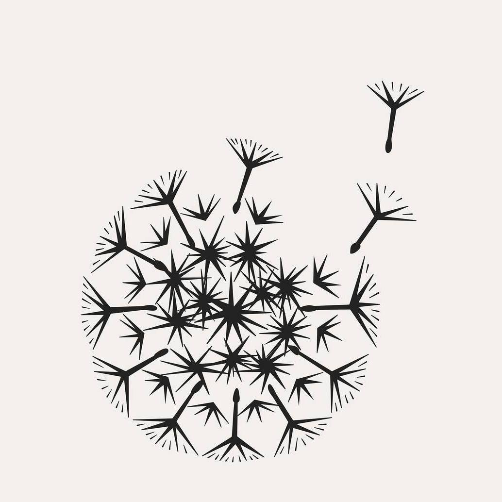 Wilder Botanics logo