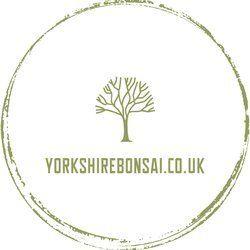 Yorkshire Bonsai logo